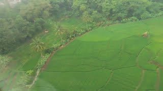 Llihat pemandangan dari atas jurang ⁉️ habibah jalan jalan naik kereta KAI [upl. by Yank]