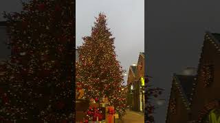 roosendaal outlet christmas christmastree weekend [upl. by Yoreel]