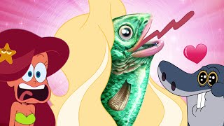 Zig amp Sharko  THE SIRENS S03E30 New Episodes in HD [upl. by Reinke752]