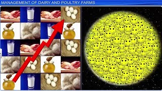 CBSE Class 12 Biology  Strategies for Enhancement In Food Production  Full Chapter  By Shiksha [upl. by Savanna344]