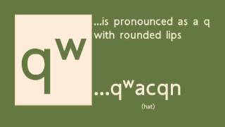 nsəlxcin iʔ‿sq̓y̓q̓ay̓s ColvilleOkanagan Salish Alphapet Pronunciation Guide [upl. by Oakman]