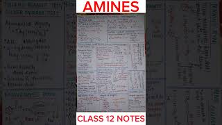 AMINES Class 12 Notes  Handwritten Notes [upl. by Morley]