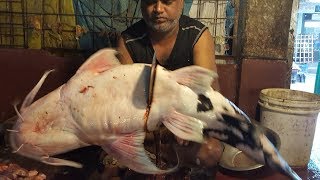 Dwarf Goonch Wallago amp Two Pangas Fish Cut Into Pieces in Fish Market By Fishmonger 2017 [upl. by Namilus]