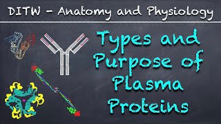 DITW  Types and Purpose of Plasma Proteins [upl. by Martine]