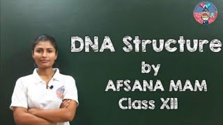 DNA Structure and its Composition Class 12 CBSE Biology [upl. by Orvah646]