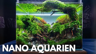 Die BESTEN Aquarien auf der Aqua Expo  ENAC 2024 [upl. by Anitselec]