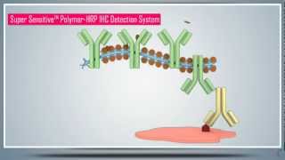 Immunohistochemistry IHC amp AntigenEpitope Protein Retrieval  Principle Technique and Protocol [upl. by Asik]