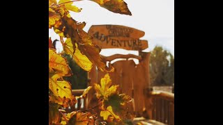 Leaf Peeping at Glenwood Caverns Adventure Park [upl. by Bravin]