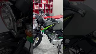 Should You Buy Yamaha YBR 125G New Model 2024 [upl. by Redleh]