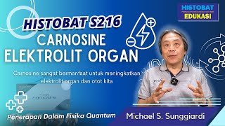 HISTOBAT S216  CARNOSINE ELEKTROLIT ORGAN  TCM dan Fisika Kuantum [upl. by Aslin]