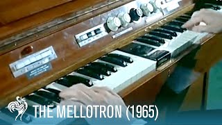 The Mellotron A Keyboard with the Power of an Orchestra 1965  British Pathé [upl. by Margarita394]