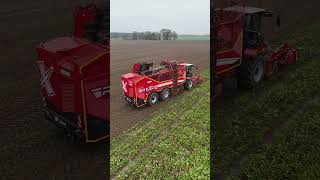 GRIMME REXOR 6300 am Rüben roden [upl. by Hoeg]