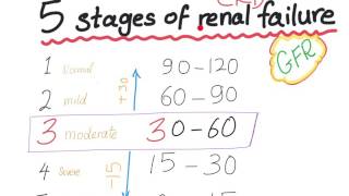 Mnemonic the 5 Stages of chronic kidney disease based on GFR [upl. by Yornek855]