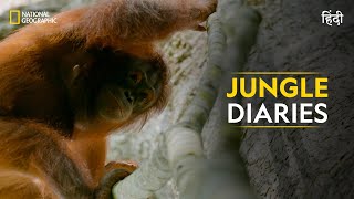 Jungle Diaries  Hostile Planet  Full Episode  S1E1  National Geographic [upl. by Nichani230]