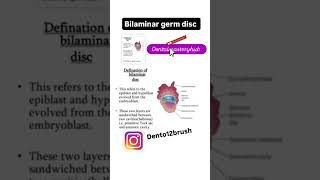 bilaminar layer germ disc dentalmasteryhub dentalstudenteducation dentist youtubeshorts [upl. by Yeclehc45]