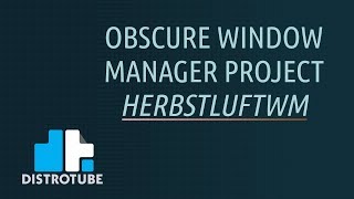 Obscure Window Manager Project  Herbstluftwm [upl. by Llerehc136]