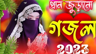 🌿 Bangla Gazal  Ghazal 2023  Islamic Gazal 2023  Notun Gojol 2023  Gazal 2023  islamic gojol [upl. by Leirbaj]