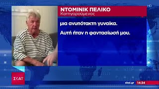 Δίκη Πελικό στη Γαλλία – Ανατριχιαστική κατάθεση του καθ’ ομολογίαν βιαστή  Ειδήσεις [upl. by Ennayelhsa]