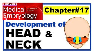 Langman Chapter17  Embryology of Head and Neck  Embryology  Dr Asif Lectures [upl. by Eitsirc130]