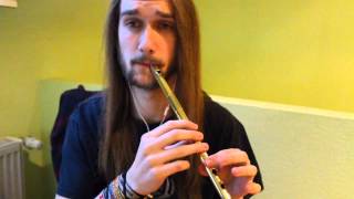 KORPIKLAANI  VodkaTin Whistle Cover [upl. by Alam44]