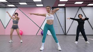 AEROBIC DANCE  Lose 2 Kg In 7 Days  Fat Burning Home Workout For Beginners [upl. by Severson]