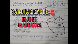 Cardiac Cycle  PharmD  Systole amp Diastole  Cardiovascular System Physiology [upl. by Anawyt246]