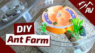 How to Build an Ant Farm  Plaster All in One Formicarium [upl. by Beaston342]