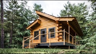 Log Cabin Building TIMELAPSE Built by ONE MAN and Grandson [upl. by Eladnwahs312]