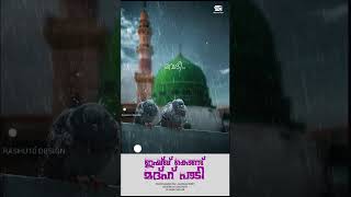 ishq kond madh paadi  suhana mehar meeladsong meelad madhsong islamic islamicstatus [upl. by Kcaj411]