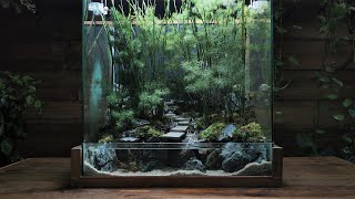 how to make a bamboo forest  Paludarium  Aquaterrarium [upl. by Eiraminot]