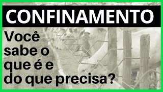 Confinamento de bois  Tudo o que você precisa saber [upl. by Dixie]