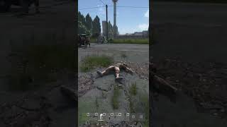 Dayz Livonia experience [upl. by Sue]