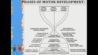 Gross Motor Development according to Gallahues Hourglass Model [upl. by Alamaj]