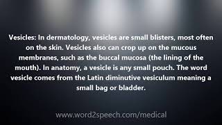 Vesicles  Medical Definition and Pronunciation [upl. by Aitnahs987]