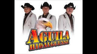 Trio Águila Hidalguense quotsubanle todo ala músicaquot [upl. by Nodnart]