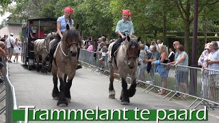 trammelant zonder tram in de haan [upl. by Moitoso]