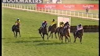 2000 Marstons Pedigree Midlands National Handicap Chase [upl. by Rehsu958]