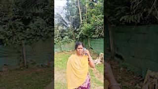 சரியா போச்சு🤣🤣🤣shorts couplegoals comedyvideos comedy funny [upl. by Aehcsrop717]