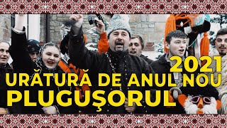 Uratura de anul nou ⛄️ Plugusorul cu 4 boi [upl. by Notluf657]