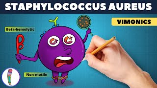 Staphylococcus aureus Visual mnemonic vimonic  Staphylococcus aureus microbiology [upl. by Enelahs]