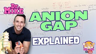 Anion Gap Explained [upl. by Bullis398]