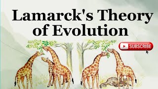 Lamarcks Theory of Evolution  Lamarckism  Biology Topics  Mahnoor Imran [upl. by Hasina]