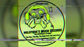 The One The Big The Only First My Last Love Yoyopcman Malefiques Remix Vidéo Audio [upl. by Innep610]