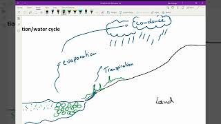 14 Biogeochemical Cycles Part 2 [upl. by Dloniger]