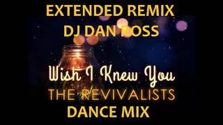 THE REVIVALISTS WISH I KNEW YOU EXTENDED REMIX BY DJ DAN ROSS [upl. by Alaikim]