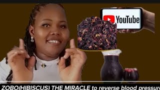 ZOBO HIBISCUS THE MIRACLE YOU NEED TO REVERSE HIGH BLOOD PRESSURE [upl. by Oramlub401]