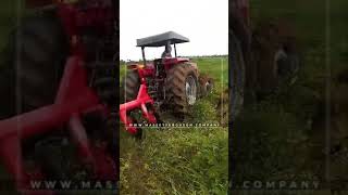 MF 385 4WD  85HP with Disc Plough  Another Satisfied Customer  Massey Ferguson Company [upl. by Brighton]