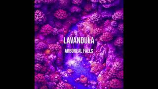 Lavandula  Arboreal Falls [upl. by Gabor]