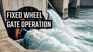 HYDRO DAM FIXED WHEEL GATES OPERATION [upl. by Milo785]