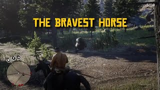 RDR2 Arabians are the best [upl. by Bish]